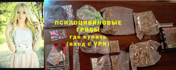 спайс Инсар