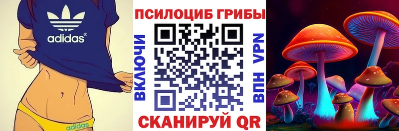 площадка телеграм  Черняховск  Галлюциногенные грибы ЛСД 