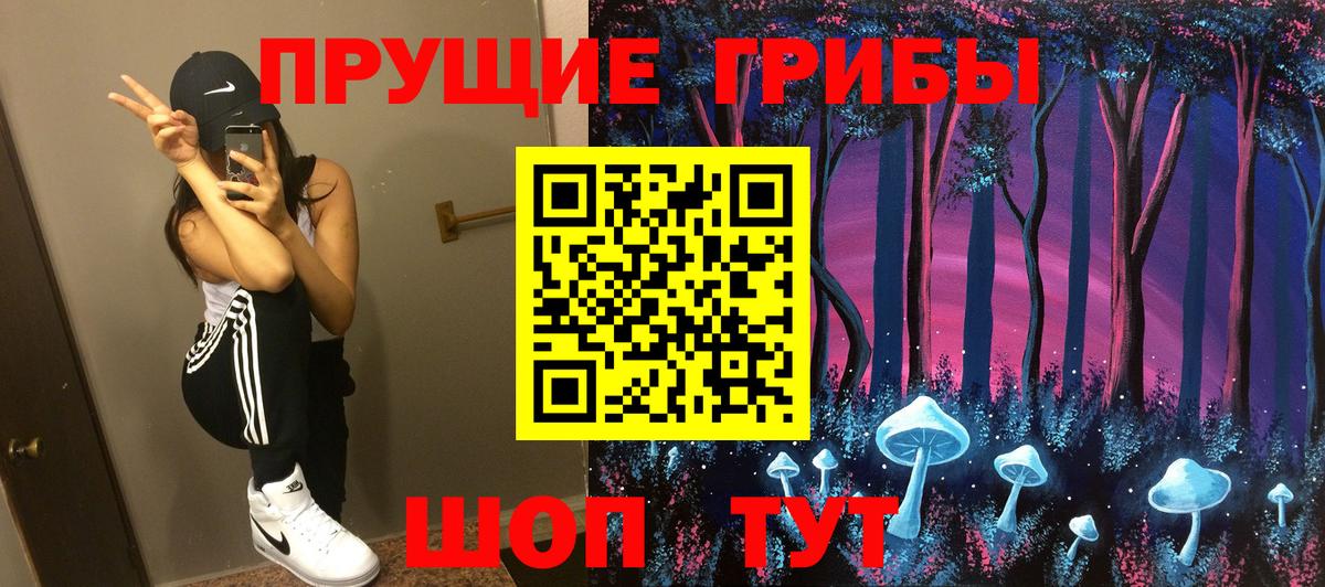 Галлюциногенные грибы Psilocybe Черняховск