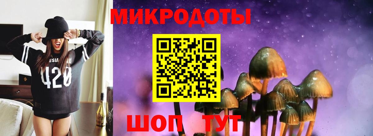 Черняховск  Псилоцибиновые грибы GOLDEN TEACHER  Вход с VPN 